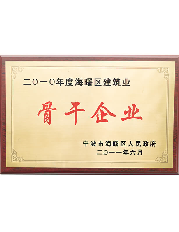 骨干企業(yè)
