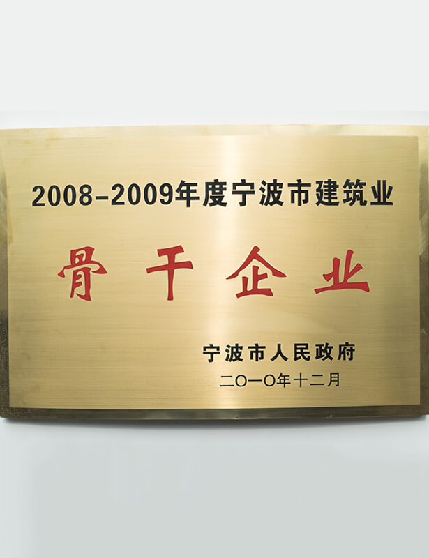 骨干企業(yè)